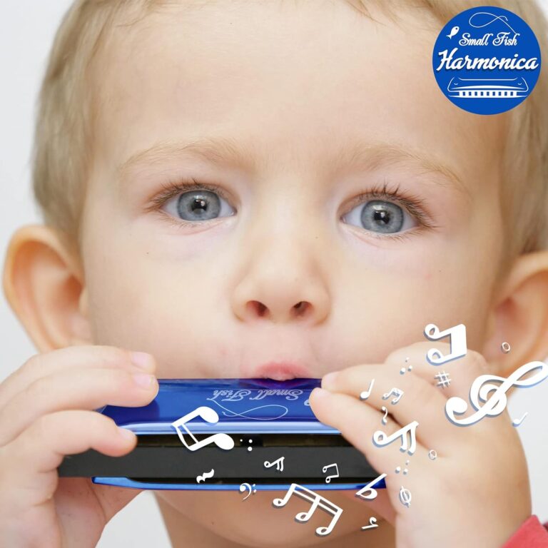 Harmonica for Kids and Adults Review