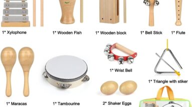 Kids Musical Instruments Review